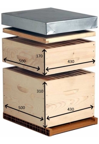 dimensions ruche DADANT