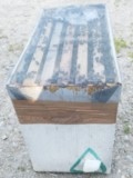 colonie d'abeilles langstroth en ruchette carton